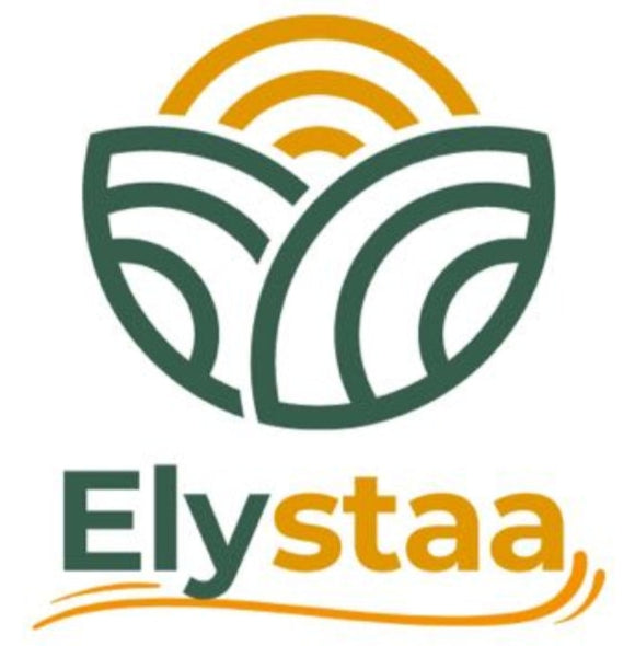 Elystaa